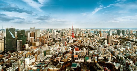Panorama Tokyo city skyline with Tokyo Tower and Tokyo skytree , Japan