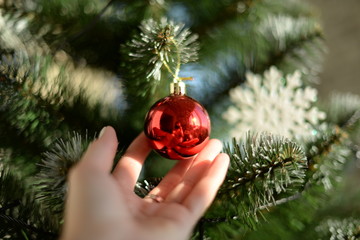 tree