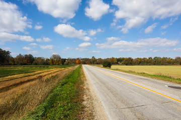 Fototapeta na wymiar Country Road Landscape