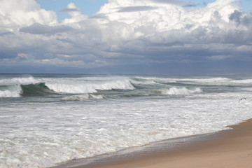 Fototapeta premium Clouds over Marina State Beach in Monterey Peninsula California