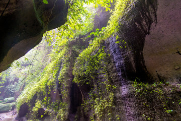 jungle in a rocky mountain cave in indonesia