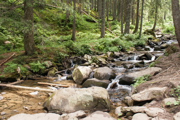 big stones and stream in the forest, Carpathian mountains, Ukraine
