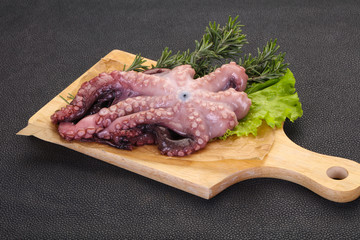Raw octopus ready for cooking