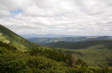 Hoverla Mountain on a summer sunny day, Carpathians, Ukraine