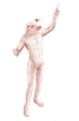 Naklejka premium humain hybride animal, tête d'animal, mi-humain, mi- cochon, blanc, blanc, corps, isolé, personne, gens, caractère, anatomie, abstrait, affaires, figure, dessin animé, illustration, mannequin, homme,
