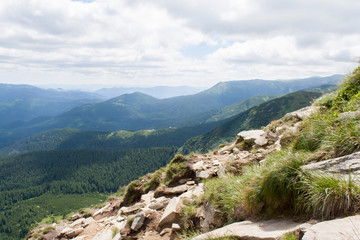 Hoverla Mountain on a summer sunny day, Carpathians, Ukraine