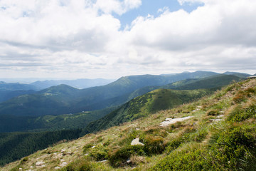 Hoverla Mountain on a summer sunny day, Carpathians, Ukraine