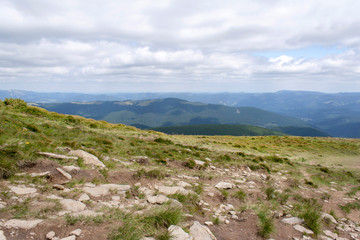 Hoverla Mountain on a summer sunny day, Carpathians, Ukraine