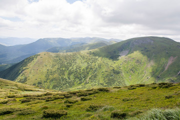 Fototapeta premium Hoverla Mountain on a summer sunny day, Carpathians, Ukraine