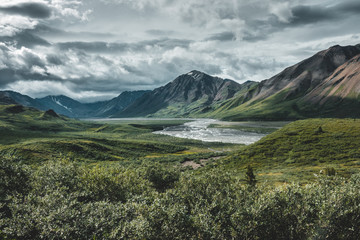 Denali national park mountains panoramic view, Alaska