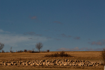 Landschaft in Rumänien