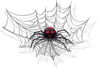 Big scary spider for Halloween design.