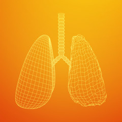 Healthy and sick lung with trachea bronchi internal organ human. Pulmonology medicine science technology concept. Wireframe low poly mesh vector illustration