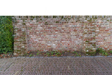 Picture of brick wall with young plants starting to grow natural concept in alley of town Veere in Netherlands