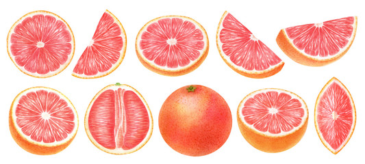 Grapefruit whole, half, slice, cut isolated on white background.Top view, side view exotic citrus. Halthy food digital clip art.Watercolor illustration. - 311215024