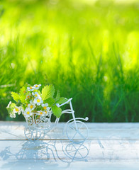 atmosphere spring summer image nature background. strawberry flowers and mini bike in garden....
