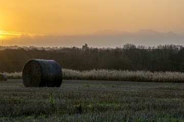 Single haymow in golden hour morning