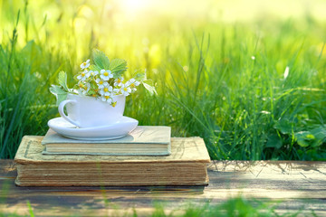 atmosphere spring summer image nature background. strawberry flowers in cup and old books in garden. gentle rustic floral composition. spring season concept. copy space