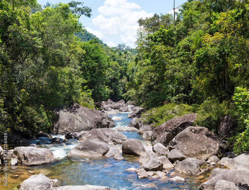 Sticker Paisagem com rio cortando a floresta