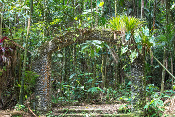Pórtico perdido na selva