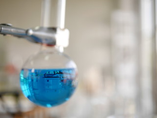 the glassware beaker containing the color chemical in science medical laboratory university