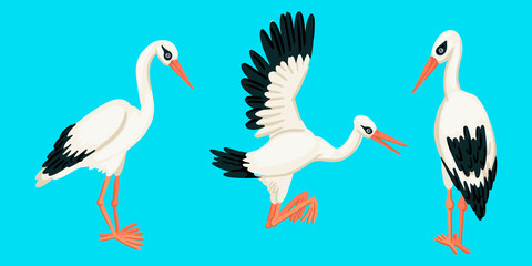 A flying stork stands and a bird stands with its back. Set of vector objects