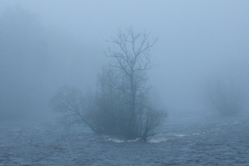 A truly misty day at the river of Viskan near Derome in Sweden what we see is a really small island with some trees on it
