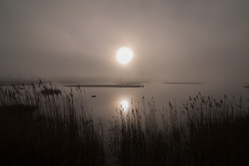 A really misty morning by the shoreline