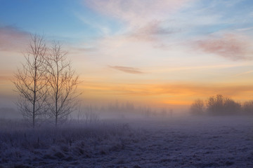 Fototapeta na wymiar beautiful winter landscape with fog and frost