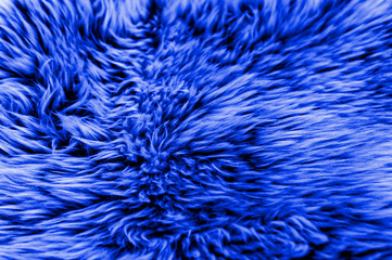 Classic blue animal hair. Close up. Tinted. Textural background. Front view.