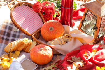 Picnic in autumn park with pumpkins, tea and bacon sandwiches.