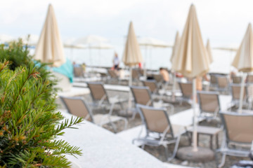 A row of chaise beds, sunbeds on a seashore in pastel luxury colors, tropical potted plant on foreground