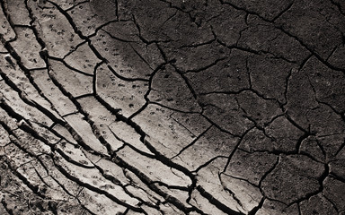 cracked soil texture concept of dry ground and ecology