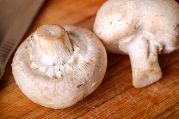 Ingredient for cooking food, mushroom, recipe book, angle view, macro close up