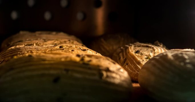 Warm fresh bread in a bakery. Making ciabatta and eco production. Manufacturing process working hard. Bakery shop and selling rooty. Baking Italian bio bread in oven. Time lapse footage of cooking.