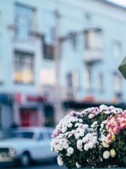 romantic retro composition of autumn city