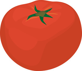 Red fresh tomato isolated on white background