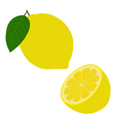 Lemon and a half. Isolated object on a white background. Vector illustration.