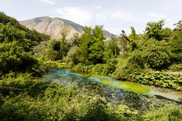 Naklejka na ściany i meble Syri i Kaltër - Blue Eye - geological phenomenon where a stream of fresh, cold water flow to the surface from under ground. Amazing green vegetation around. Albania, Saranda area.
