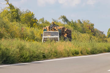 Timber truck with a forest rides on the highway with cargo