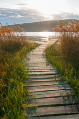 Naklejka premium colorful orange autumn on a forest lake on a sunny day