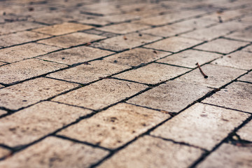 paving stones, pavement road in the park, paved with stone slabs after rain
