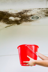 Hands gathering water drops with bucket