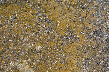 Obraz na płótnie Canvas texture of concrete