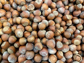 raw hazelnuts at the market