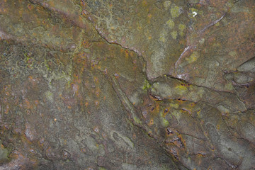 Texture of rock