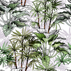 Tropical foliage seamless pattern . Hand drawn vector illustration on white background.