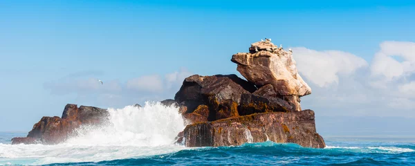 Foto op Canvas Rock in the ocean on a background of the cloudy sky, Galapagos Island, Isla Isabela. © ggfoto