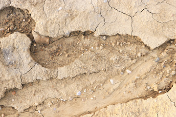 Dry and cracked earth. 