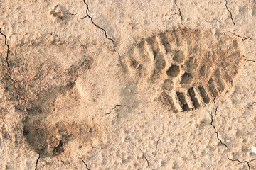 Imprint of a shoe on dry ground. Close-up.